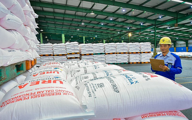 Ilustrasi Pupuk Bersubsidi.