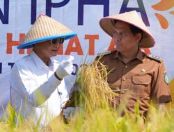Panen Demplot Bersama Petani, Menteri PU Dorong Penerapan IPHA untuk Swasembada Pangan