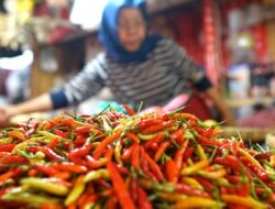 Bapanas Catat Harga Cabai Rawit Merah Turun di Rp60.932/Kg