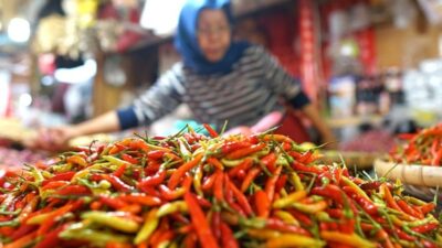 Ilustrasi - Cabai Rawit di jual pedagang di pasar.