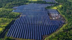 MedcoEnergi Resmikan Operasi PLTS 25MWp di Bali Timur