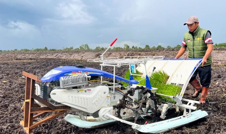 Seorang petani milenial melakukan penanaman padi menggunakan teknologi alat mesin pertanian di Desa Ujung, Kecamatan Bati-Bati, Kabupaten Tanah Laut, Kalimantan Selatan, Selasa (12/8/2025).