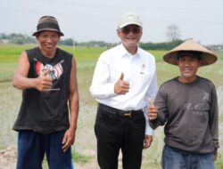 Kehadiran Bendungan Logung Dongkrak Produktivitas Pertanian Hingga Tiga Kali Panen Setahun