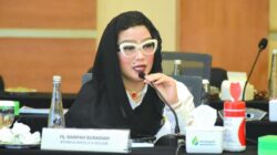 Anggota Komisi VI DPR RI Sarifah Suraidah.