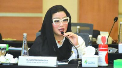 Anggota Komisi VI DPR RI Sarifah Suraidah.