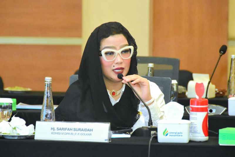 Anggota Komisi VI DPR RI Sarifah Suraidah.