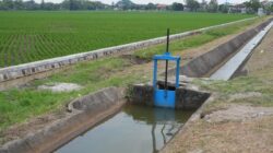 Peringati Hari Pangan Sedunia, Kementerian PU Perkuat Infrastruktur Irigasi Dukung Swasembada Pangan