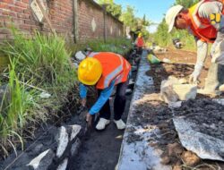 Kementerian PU Dorong Pertumbuhan Ekonomi dan Swasembada Pangan Desa