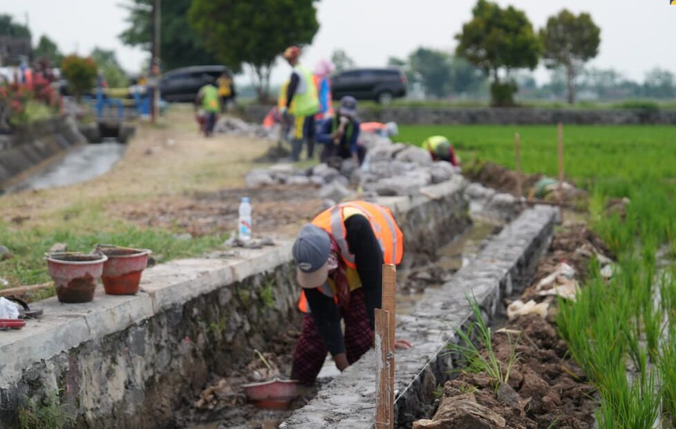 Program Percepatan Peningkatan Tata Guna Air Irigasi (P3TGAI) sebagai bagian dari program padat karya tunai pada tahun anggaran 2025.