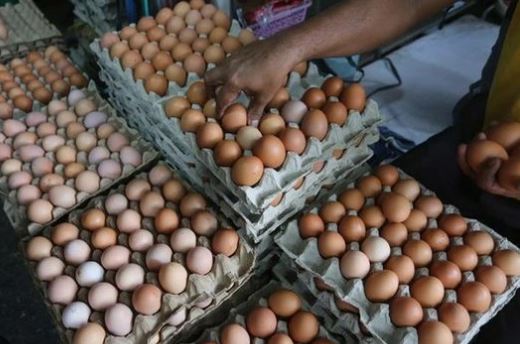 Komoditas telur ayam ras yang dijual pedagang di Pasar Rawamangun Jakarta