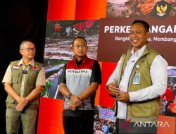 Bulog Jamin Stok Beras Aman Hingga Lebaran 2026