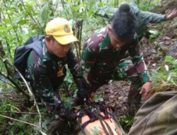 Enam Korban Pesawat Jatuh di Pangkep Ditemukan
